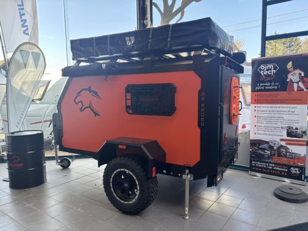 XS CARGO - 2024 (30) - Image 2